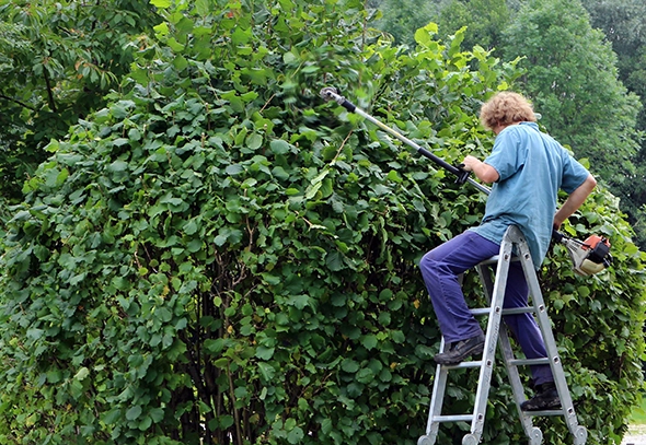 Close-up of even grass stripes after professional lawn mowing service
