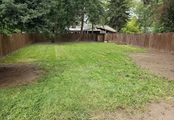 Cleaned backyard with trimmed bushes, clear lawn, and bundled branches stacked neatly
