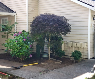 Technician trimming grass edges around a garden bed with a string trimmer