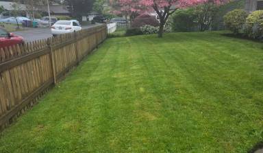 Lawn care